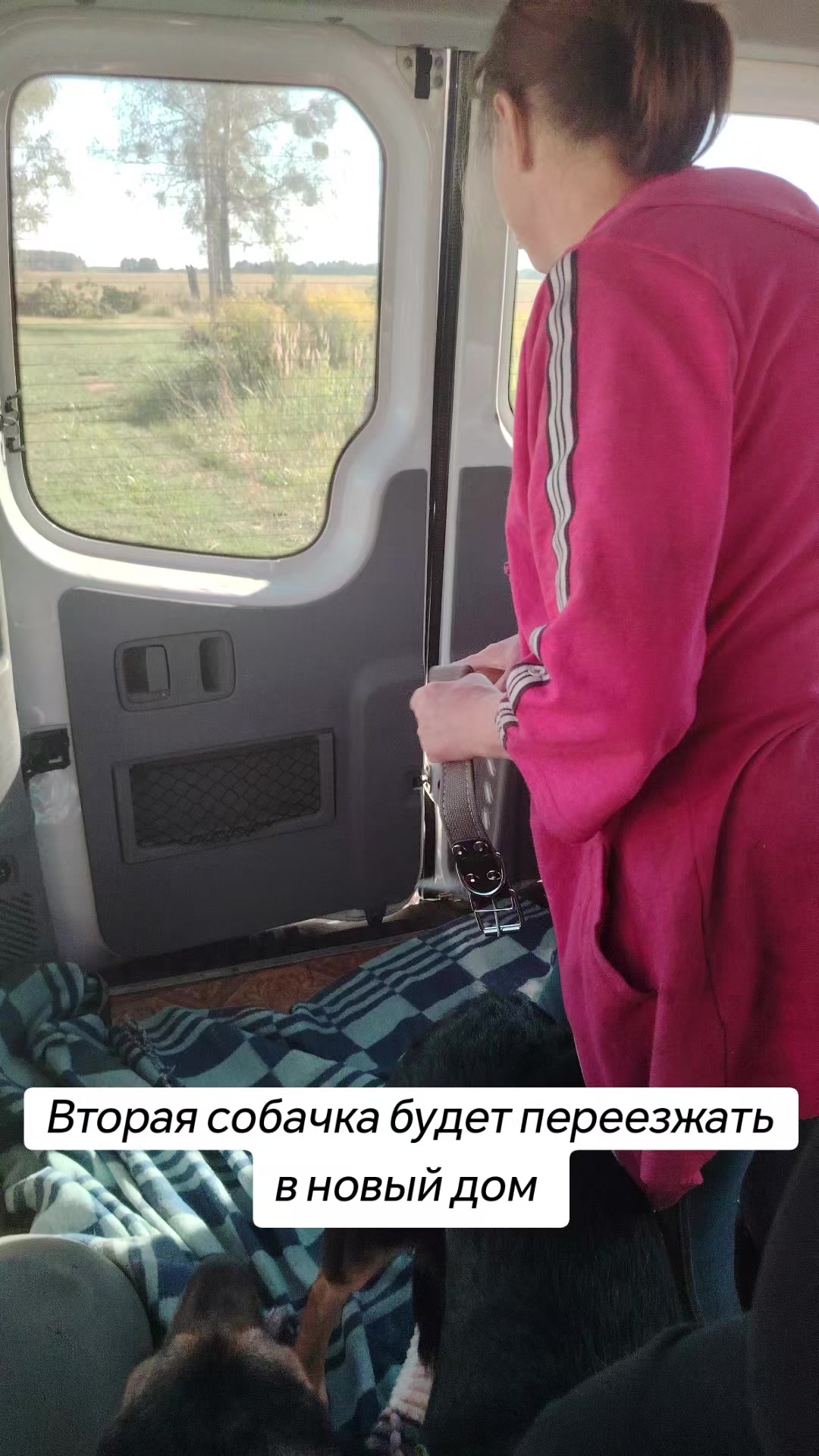 @Передержка «Лёнин рай» 🐶🦮