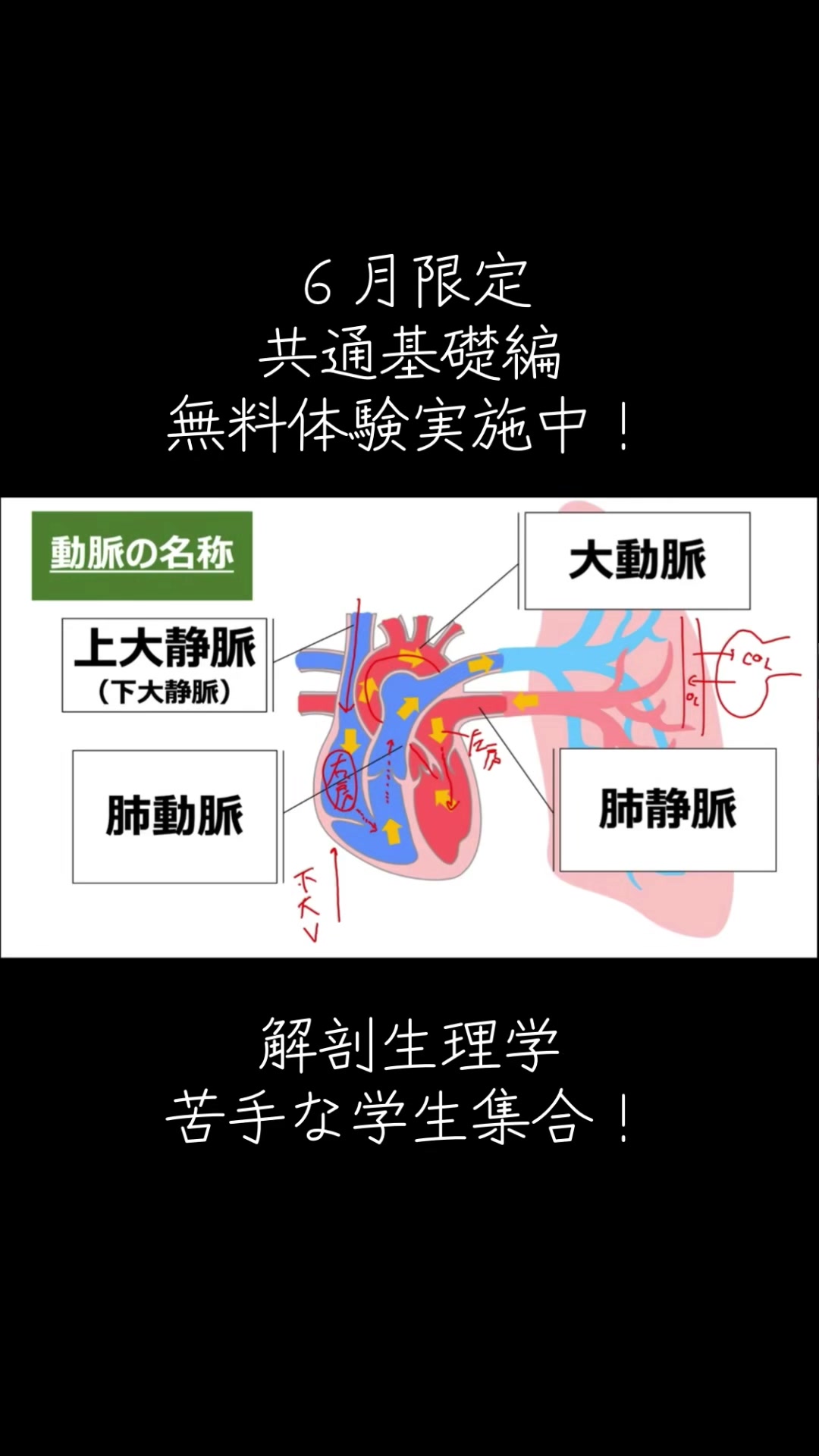 @第62回理学療法士国家試験(ネクストリハアカデミー)