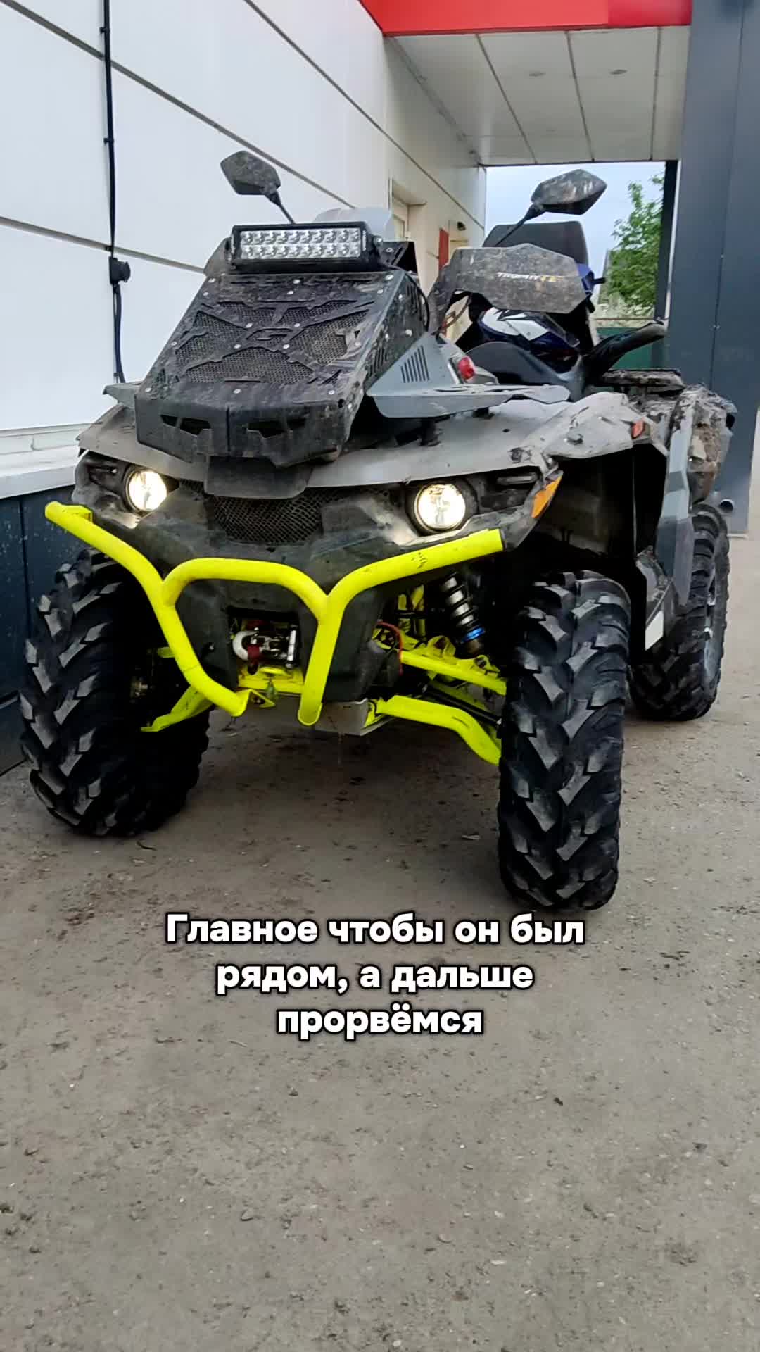 @Николай Гепардович