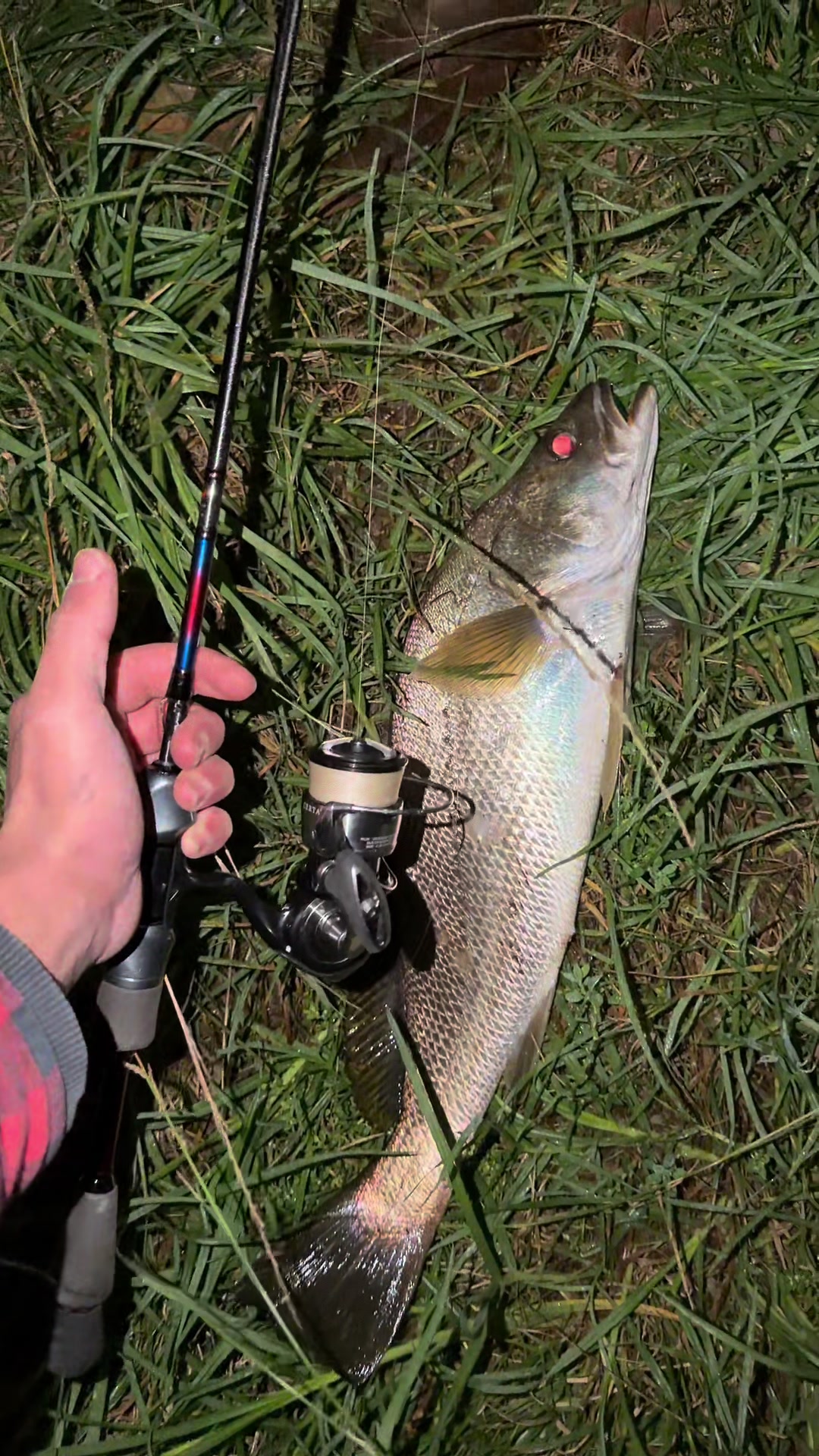 @CK’s Fishing