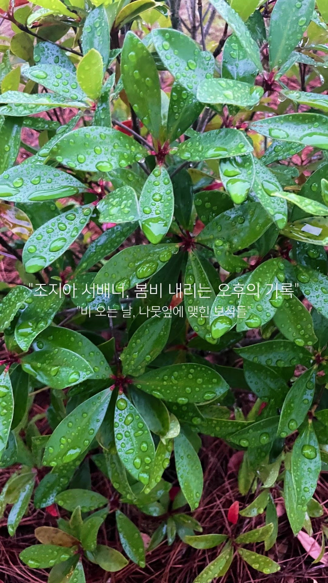 @Nomad James(노마드제임스)