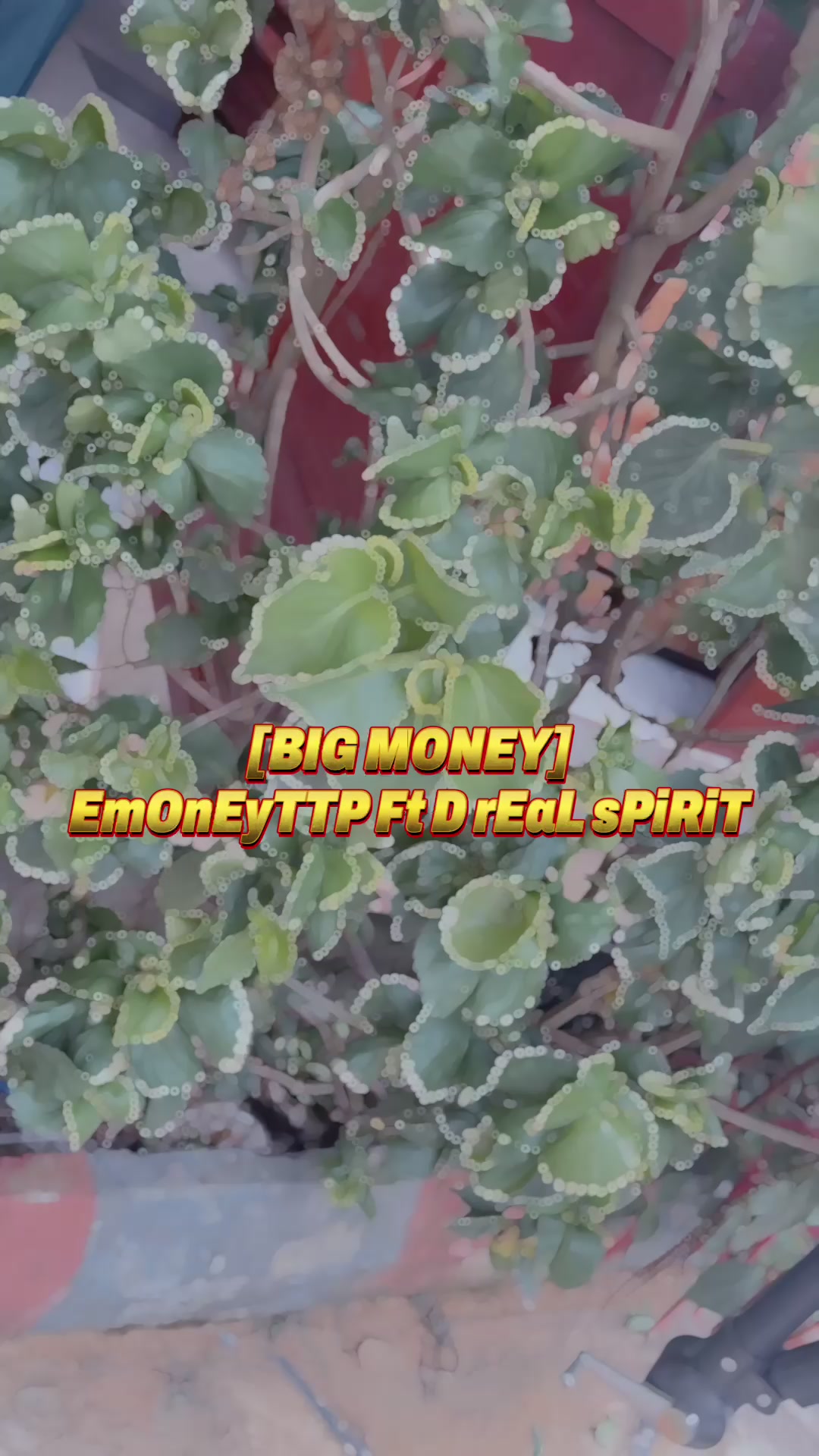 @Emoneyttp