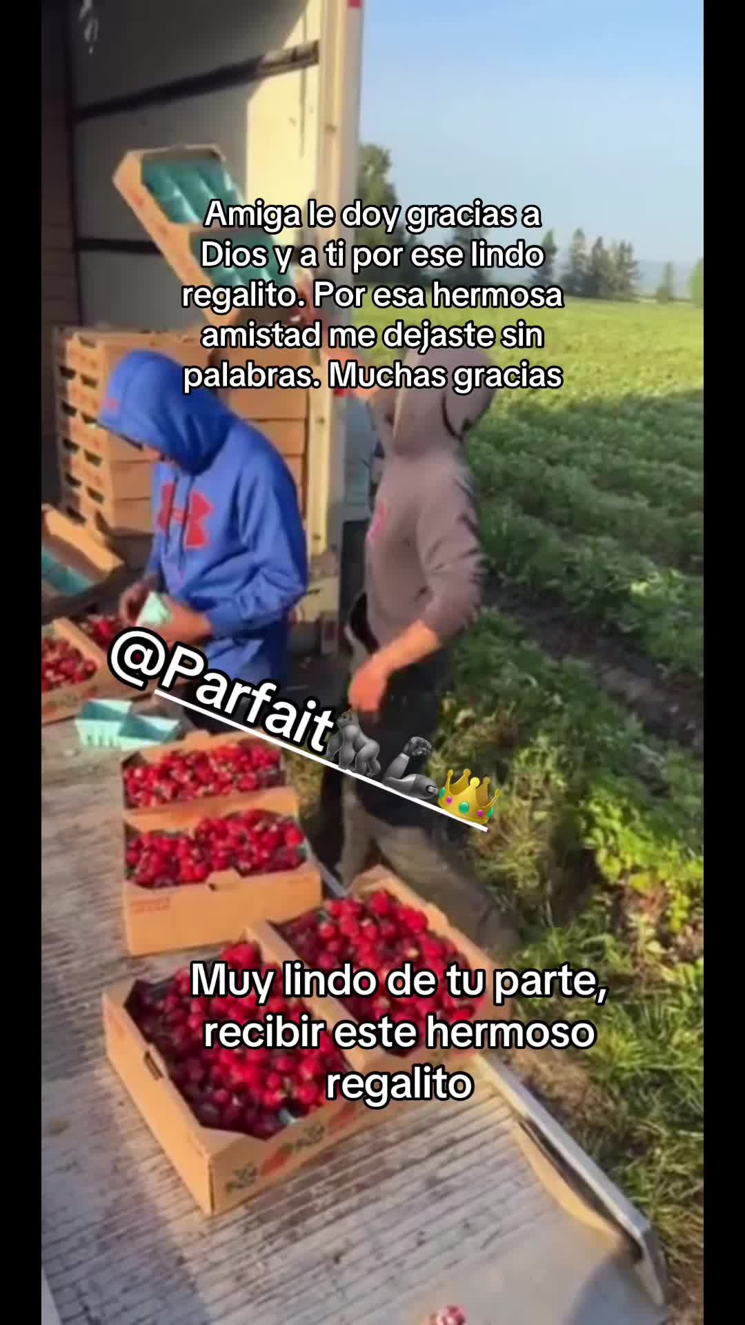 @pablocarbajal63