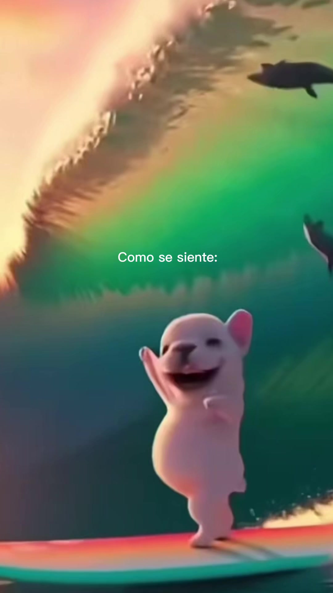 @VITKA