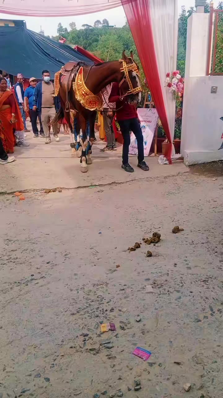@SITARAM SHRESTHA(सन्देश🇳🇵)