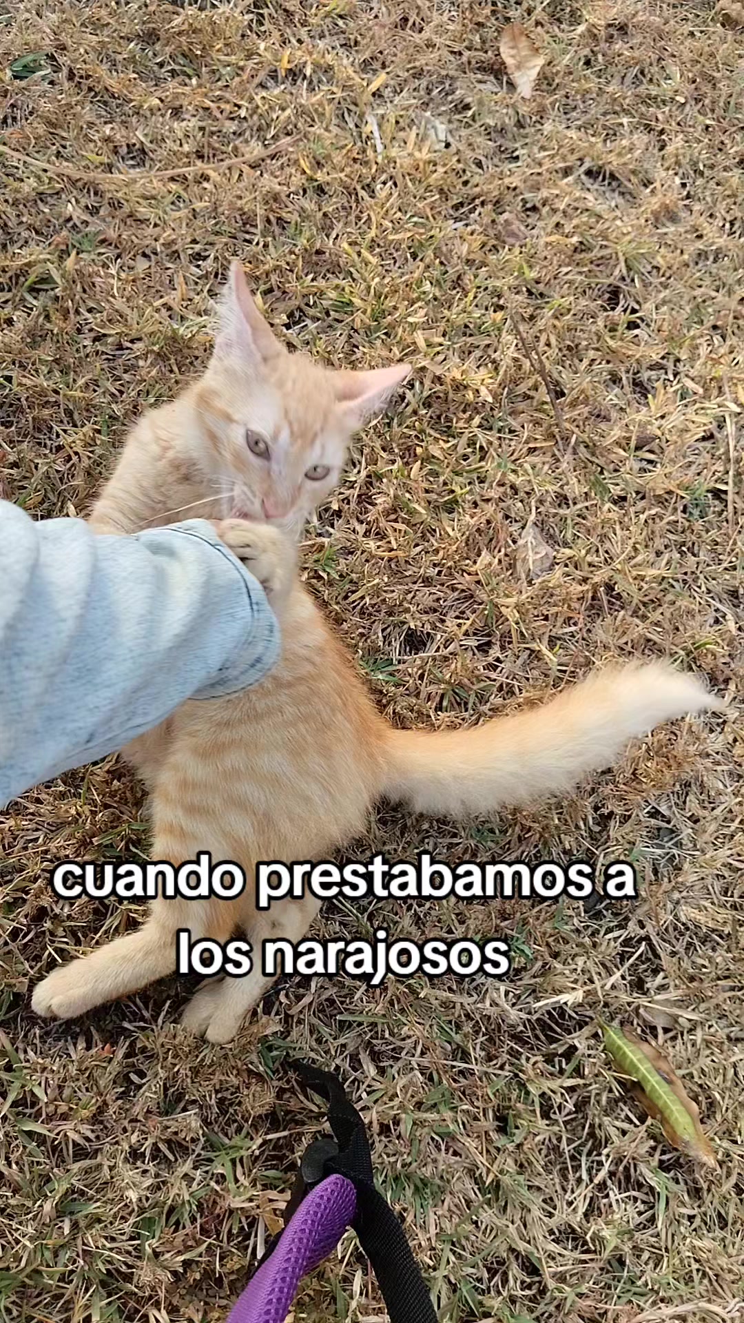 @Miss Ary