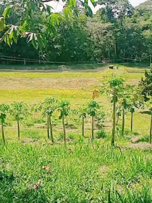 @acua agro