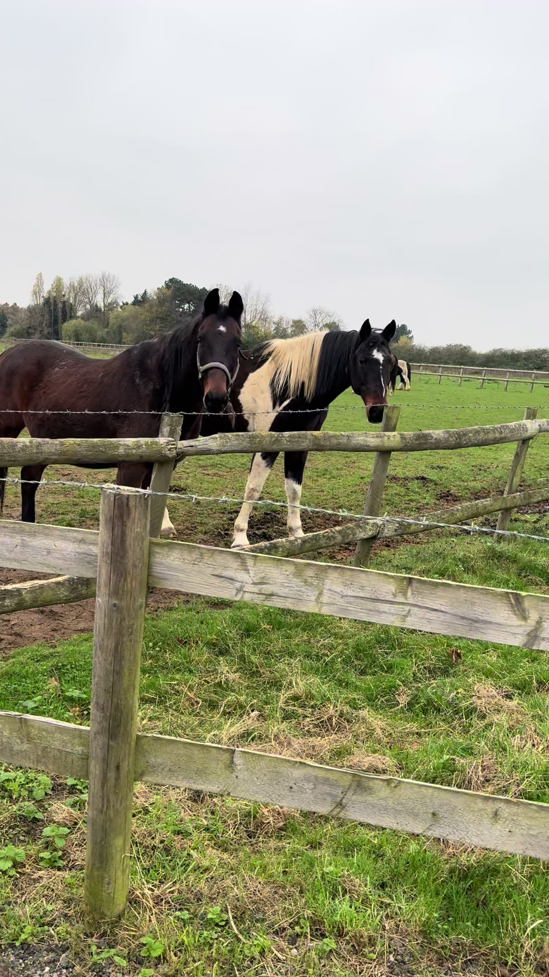@eastendfarm_london