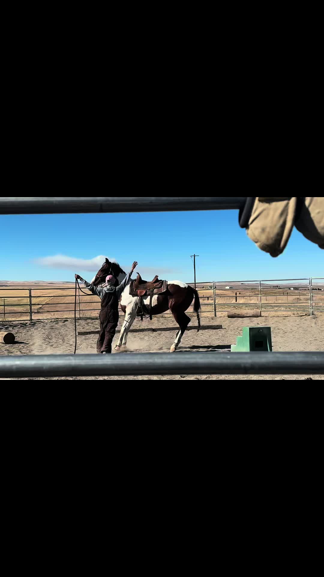 @Cowgirl Tuff Colt Training ❤️