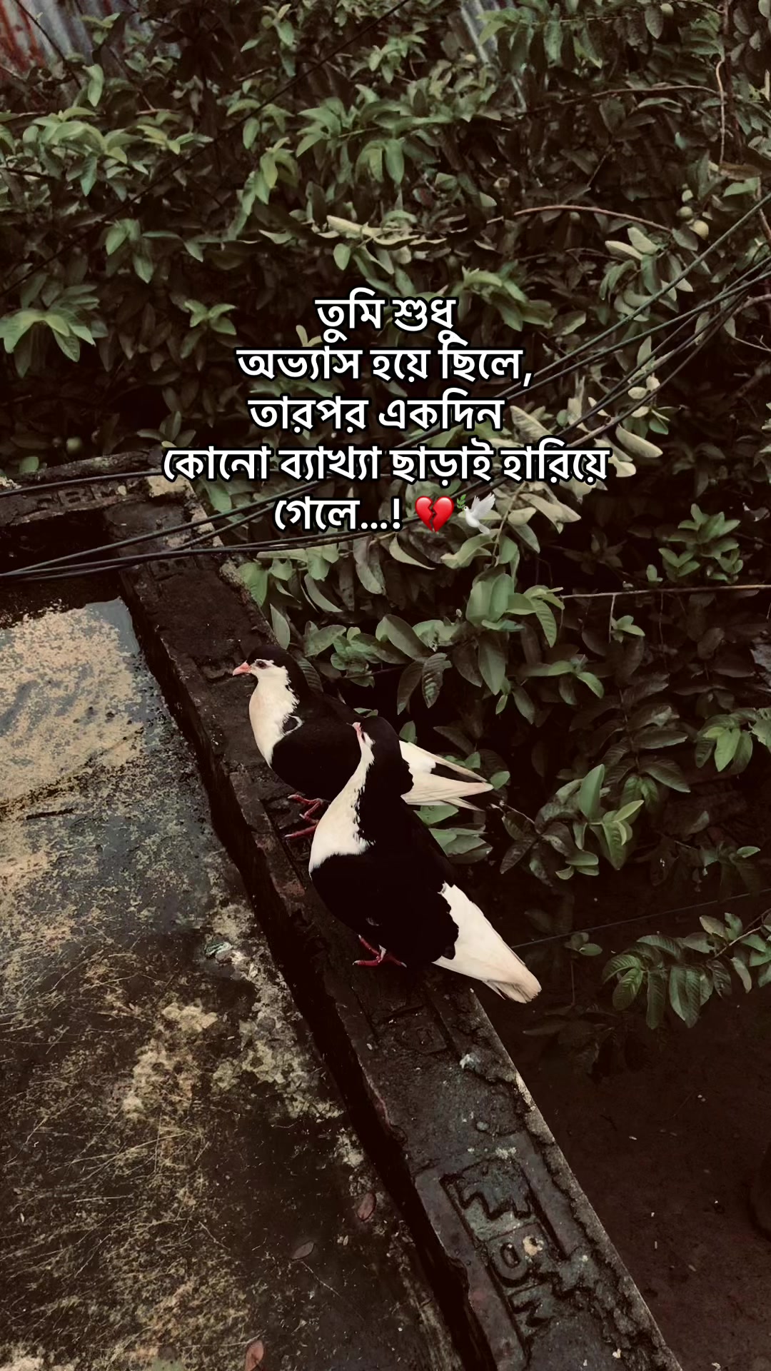@the_spydoo🕸️ 🥏