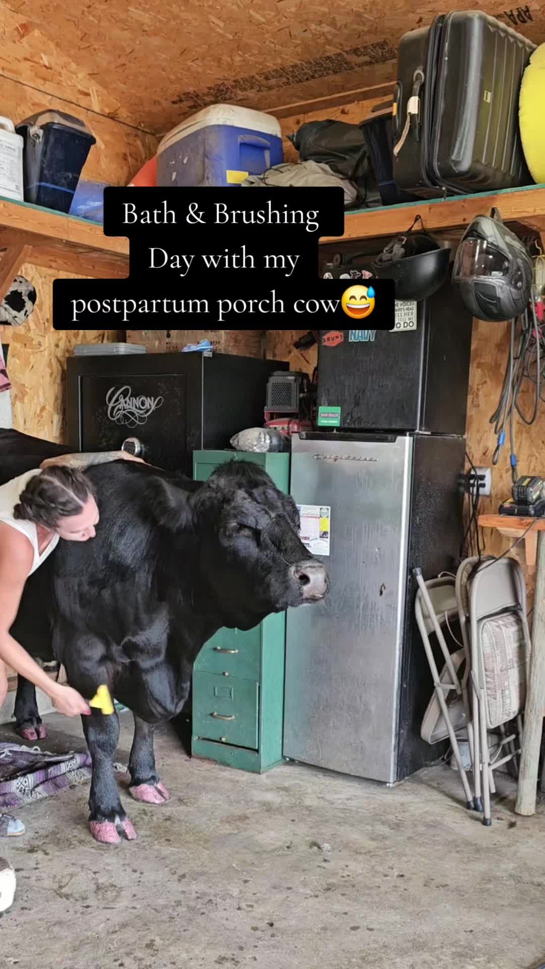 @Dakotafunnyfarm