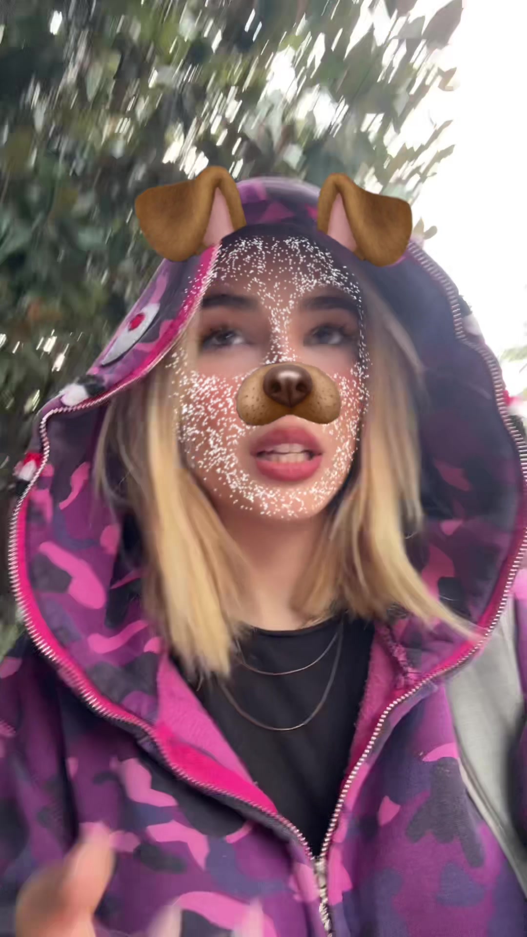 @bunny