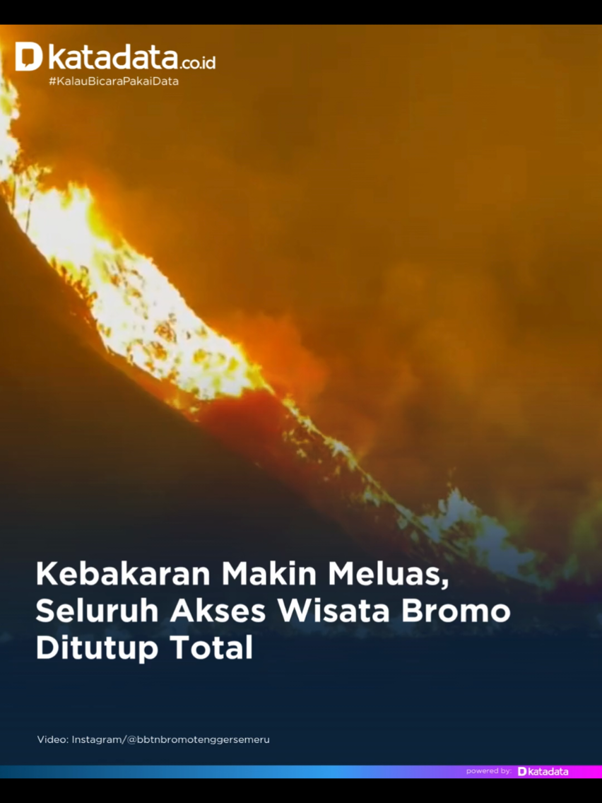 @katadata.co.id