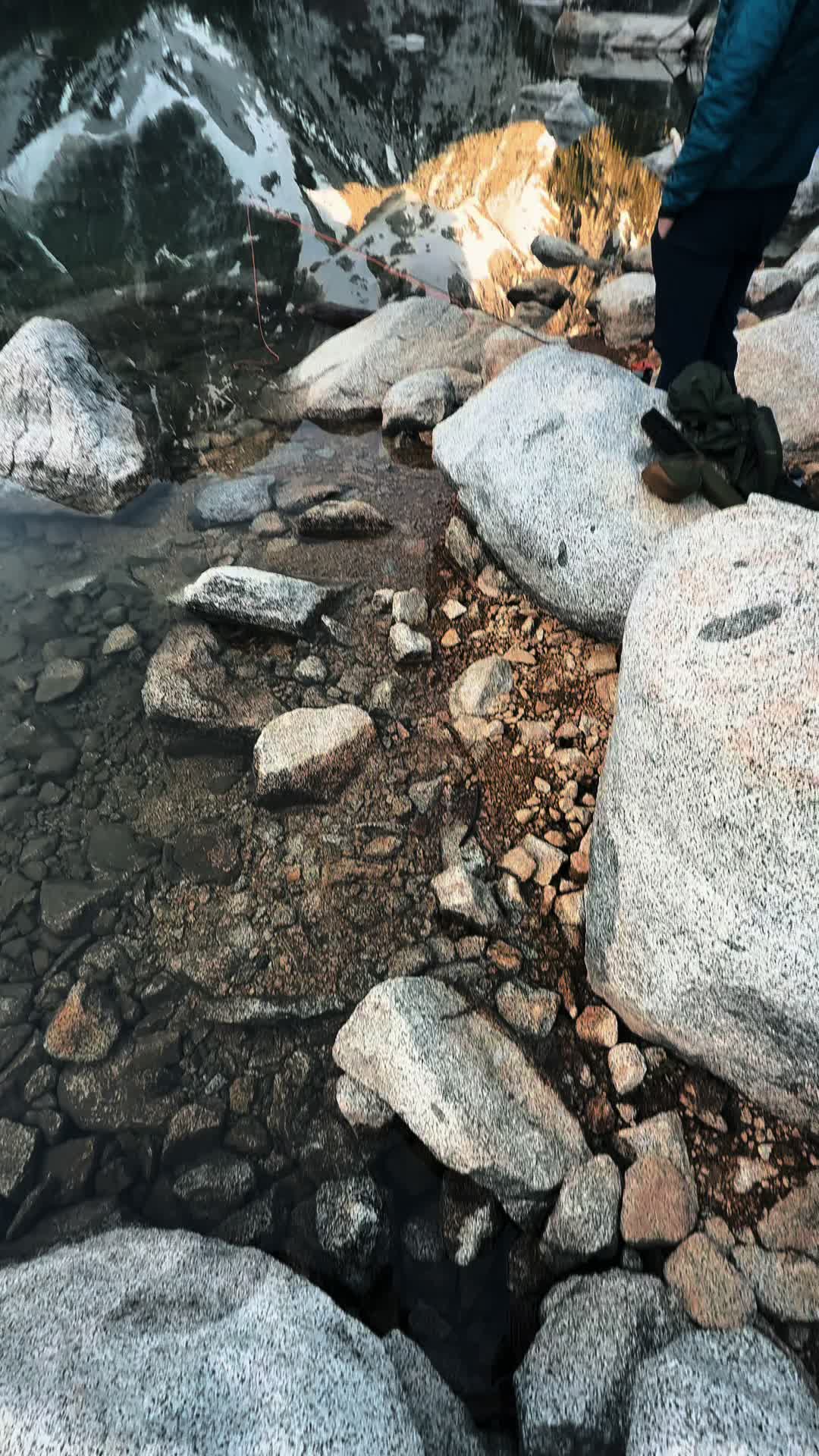 @🌲 James | WA 🏔️