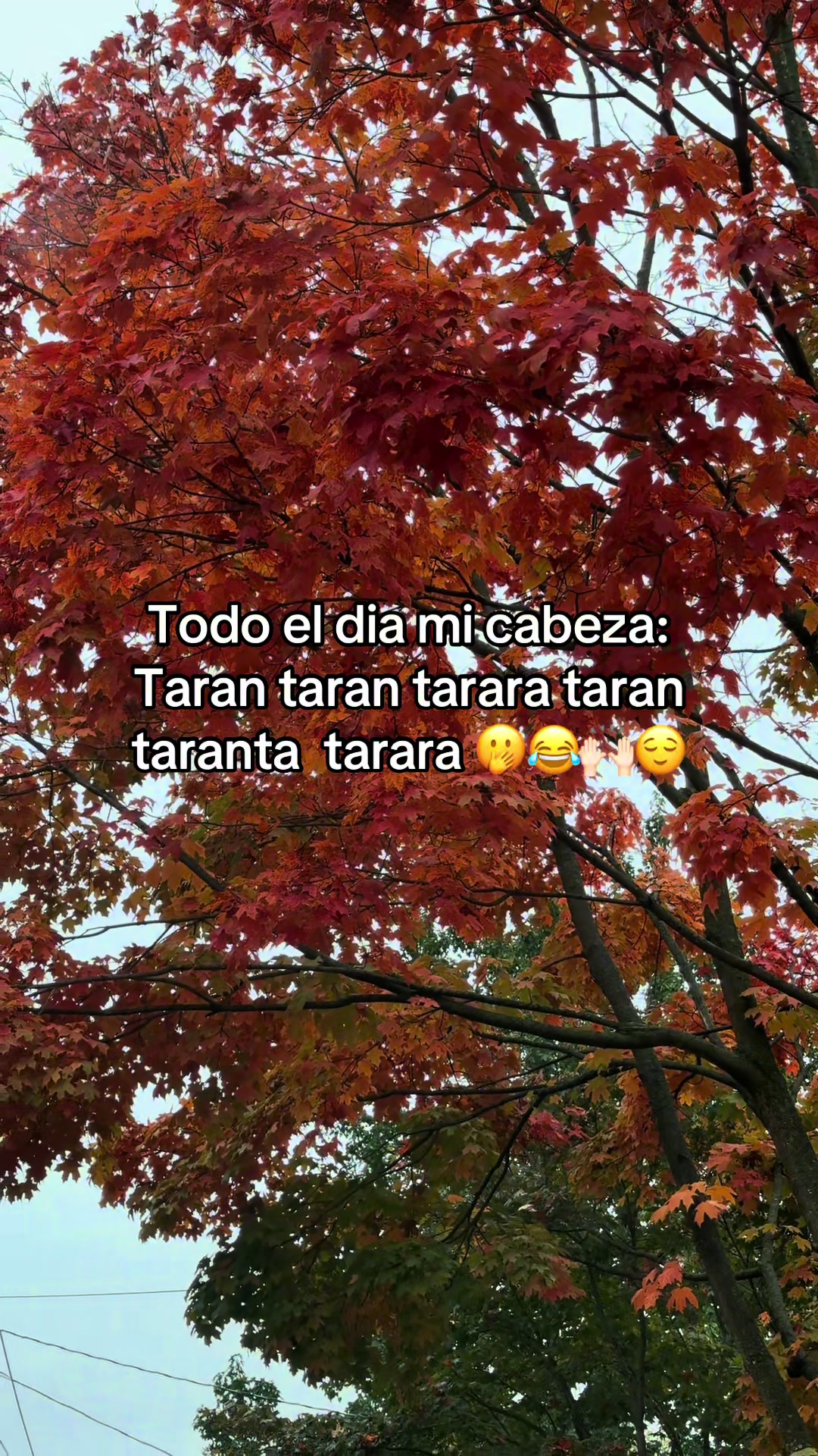 @Abel Vel&aacute;squez 🦺👷&zwj;♂️