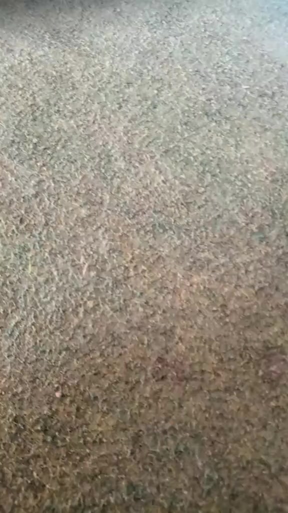 @🥷 معشوق ✌ لاشاري 🥷