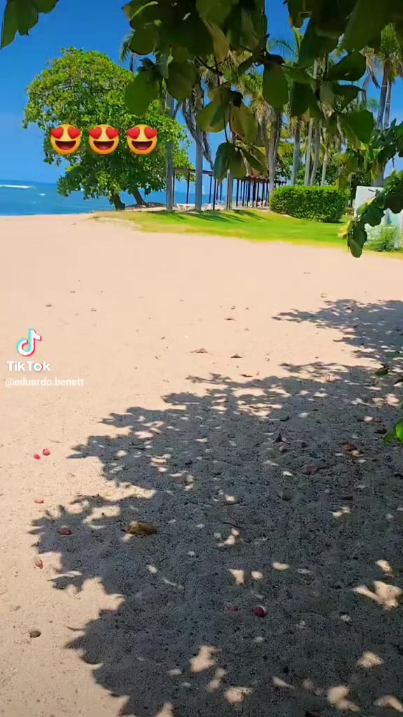 @cataleya80