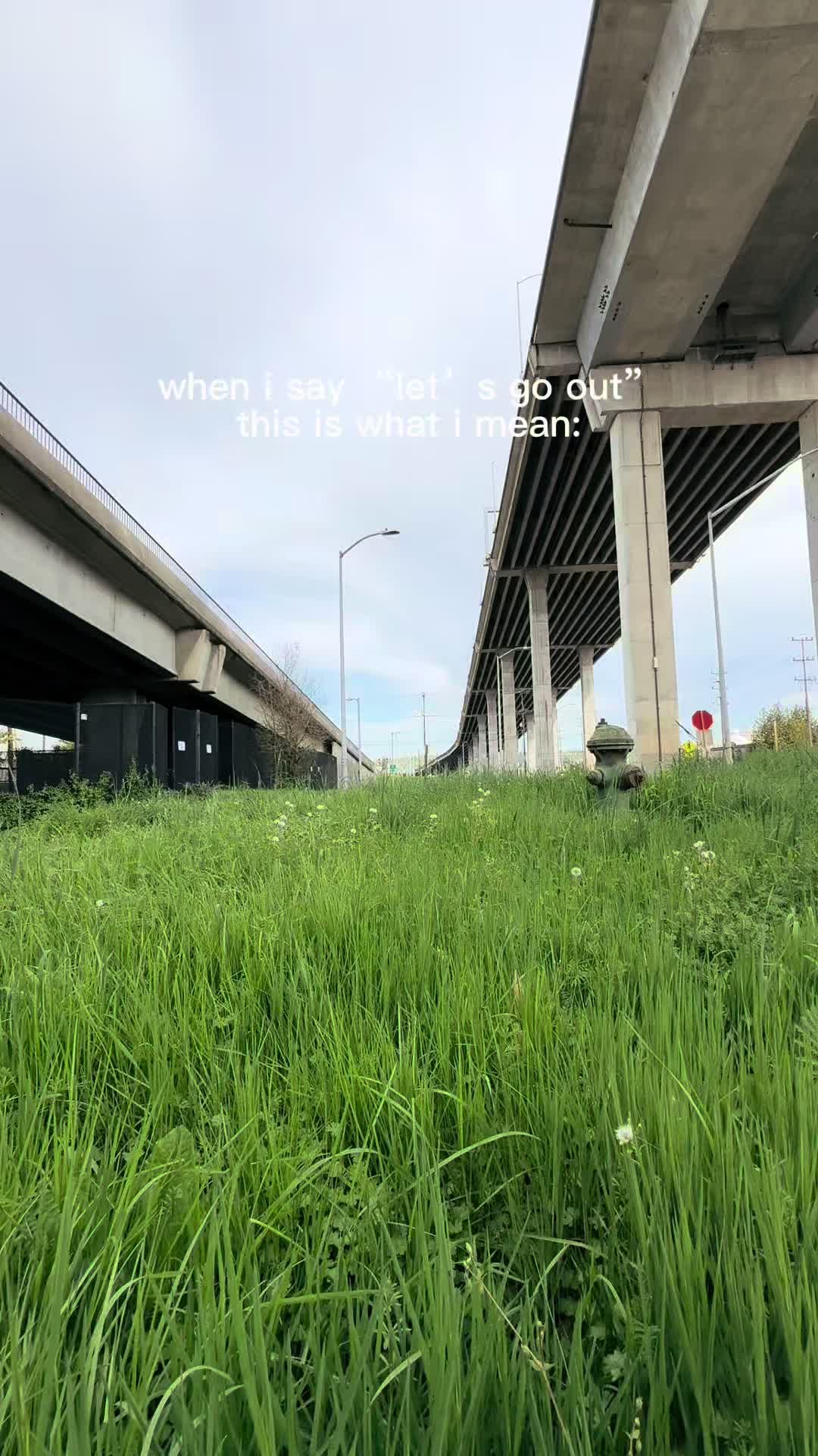 @Domknowz
