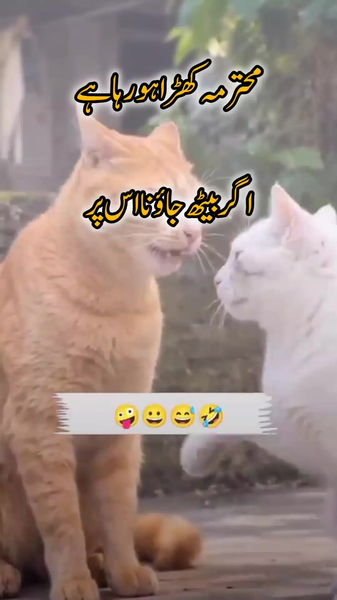@😜ہونٹوں کا دیوانہ 🦋