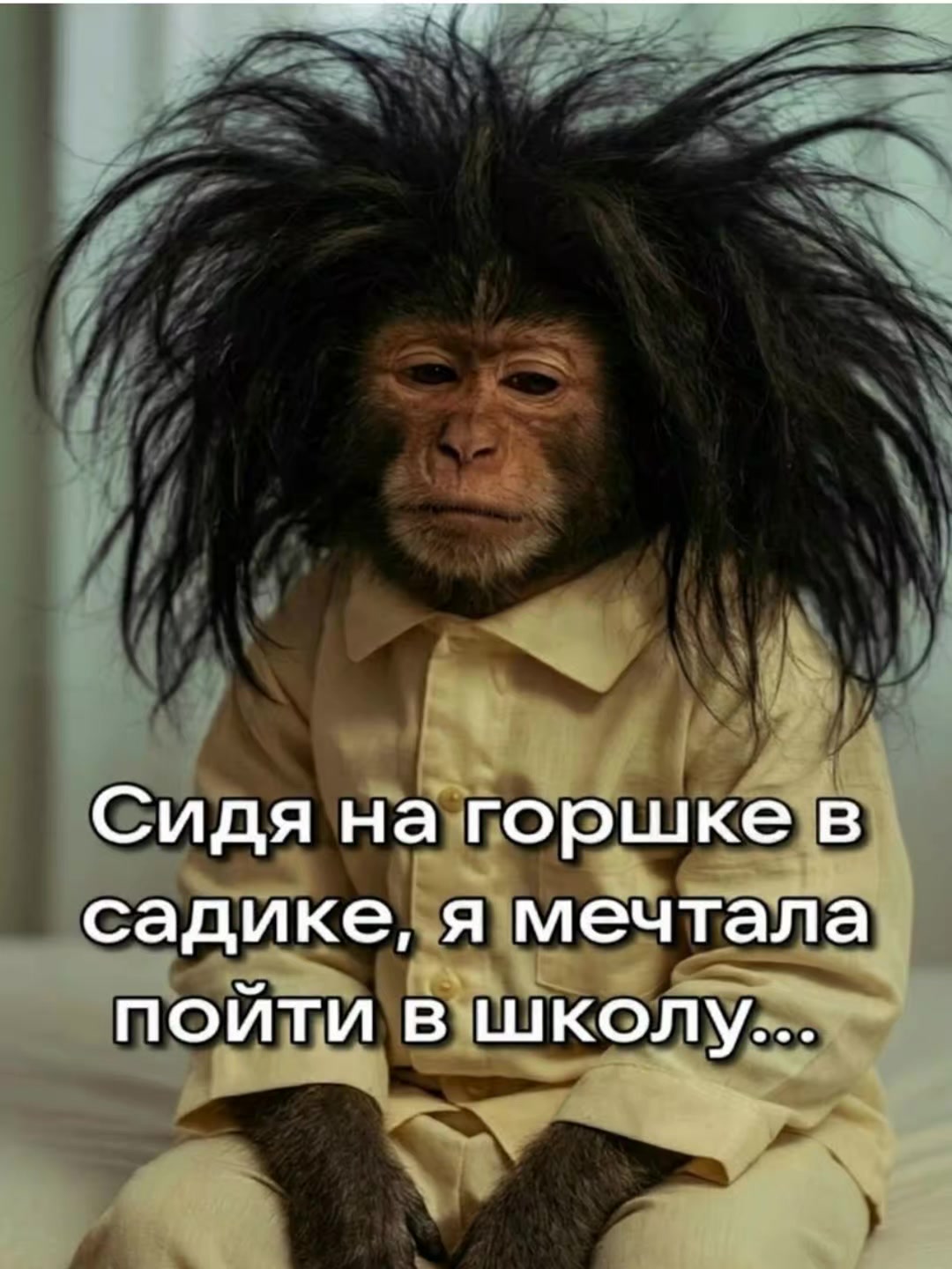 @ooopp