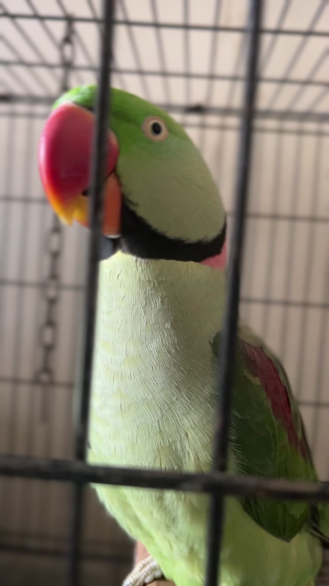 @S͜͡ᴀʀᴀ⊰✿