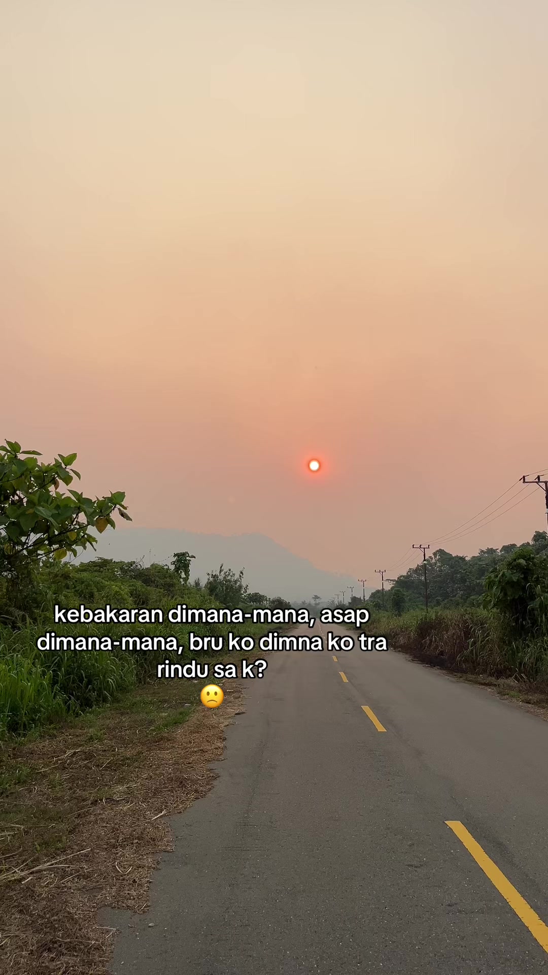 @faldy