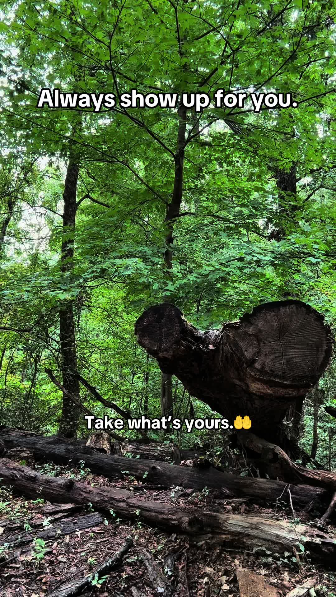@ThePharmDHealer ®