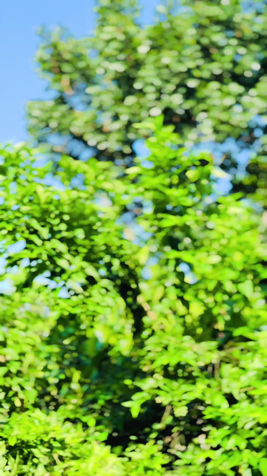 @𝐏𝐨𝐫𝐢(ভাগ্যবতী)