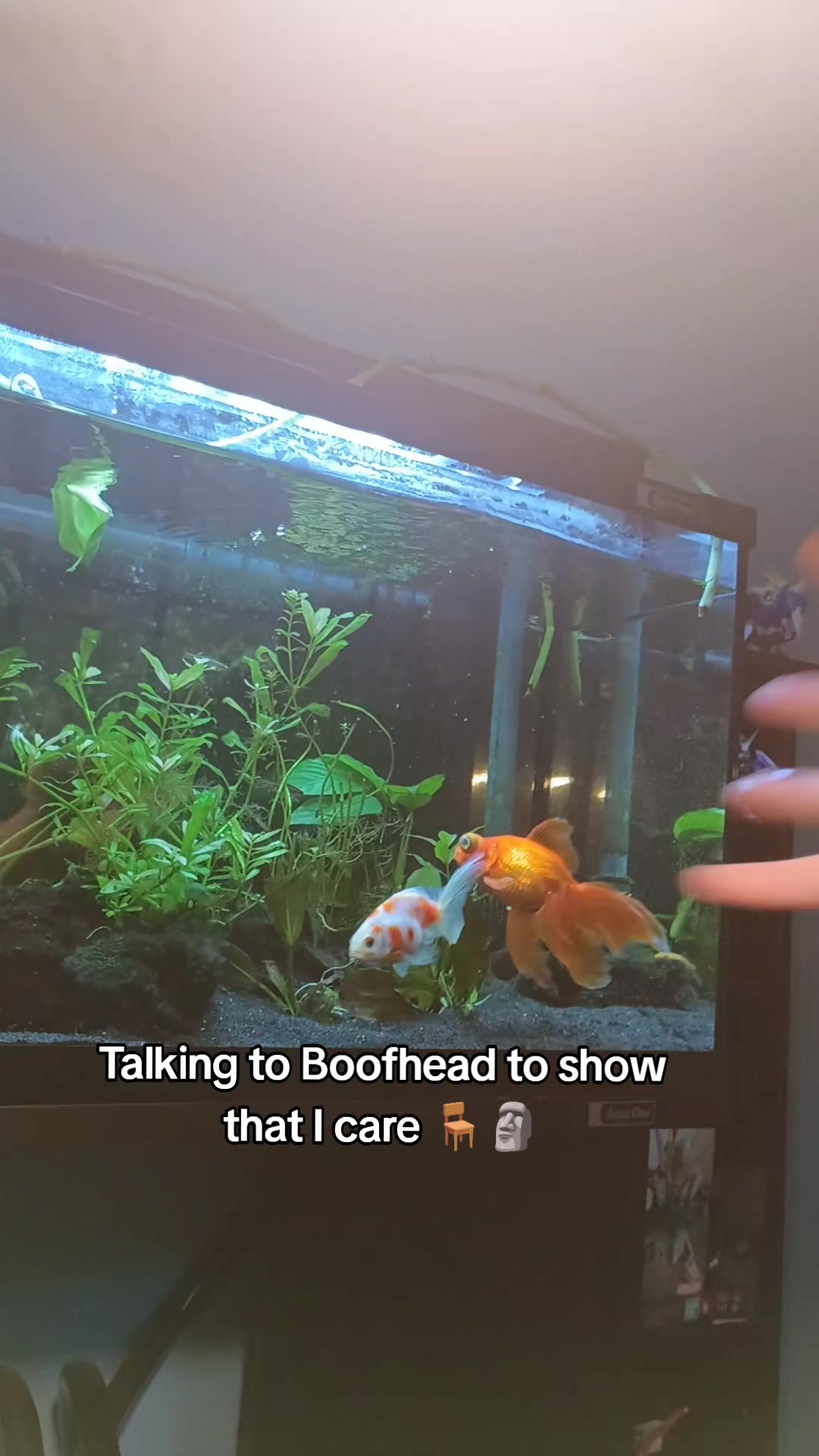 @BaronVonBoofHead
