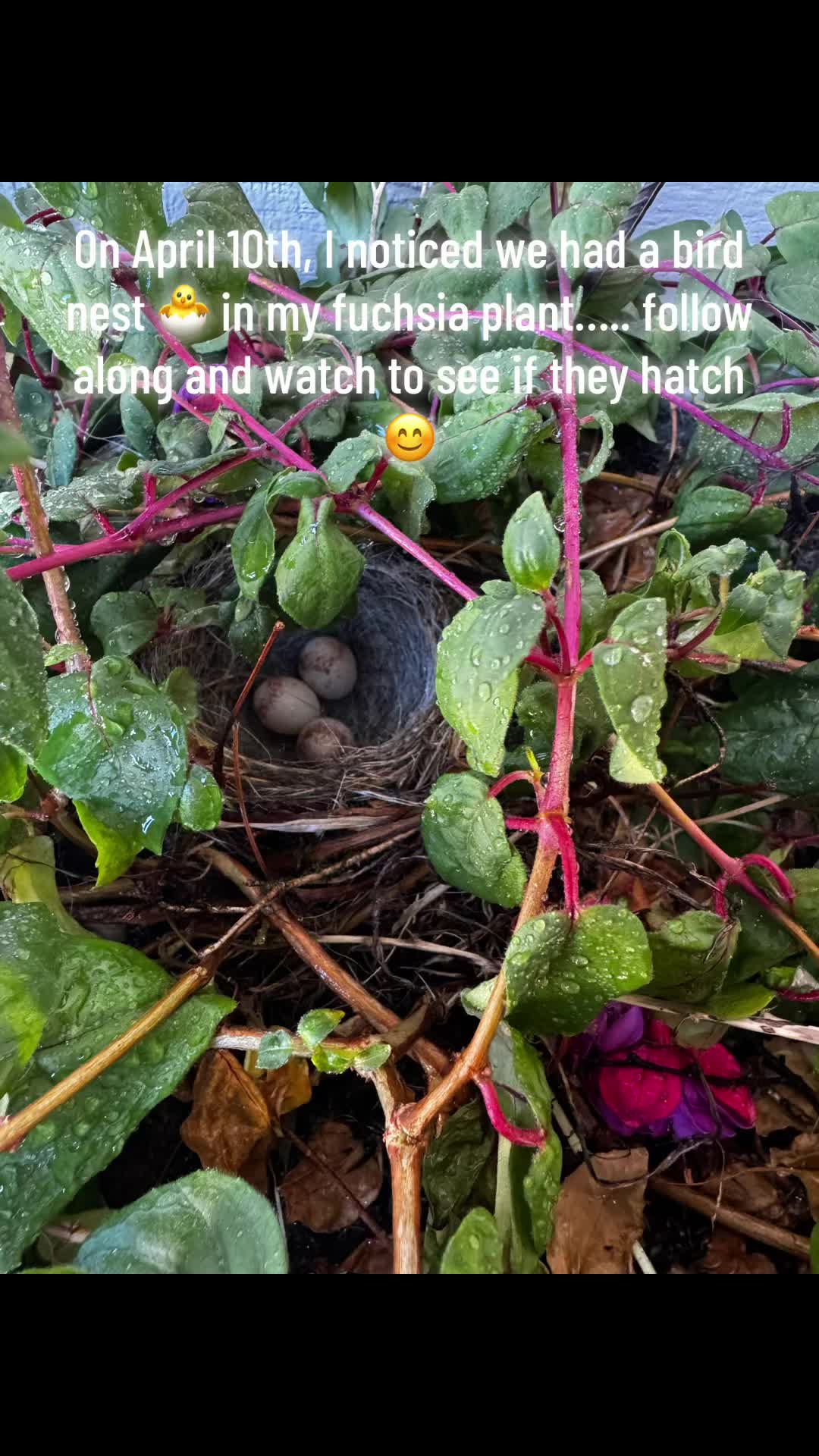 @Kelli 💜🤗