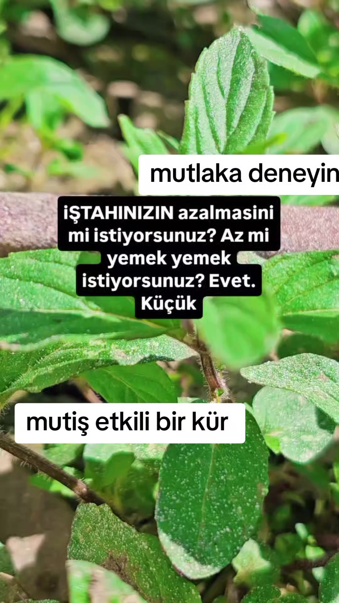 @Yararlı Bilgiler