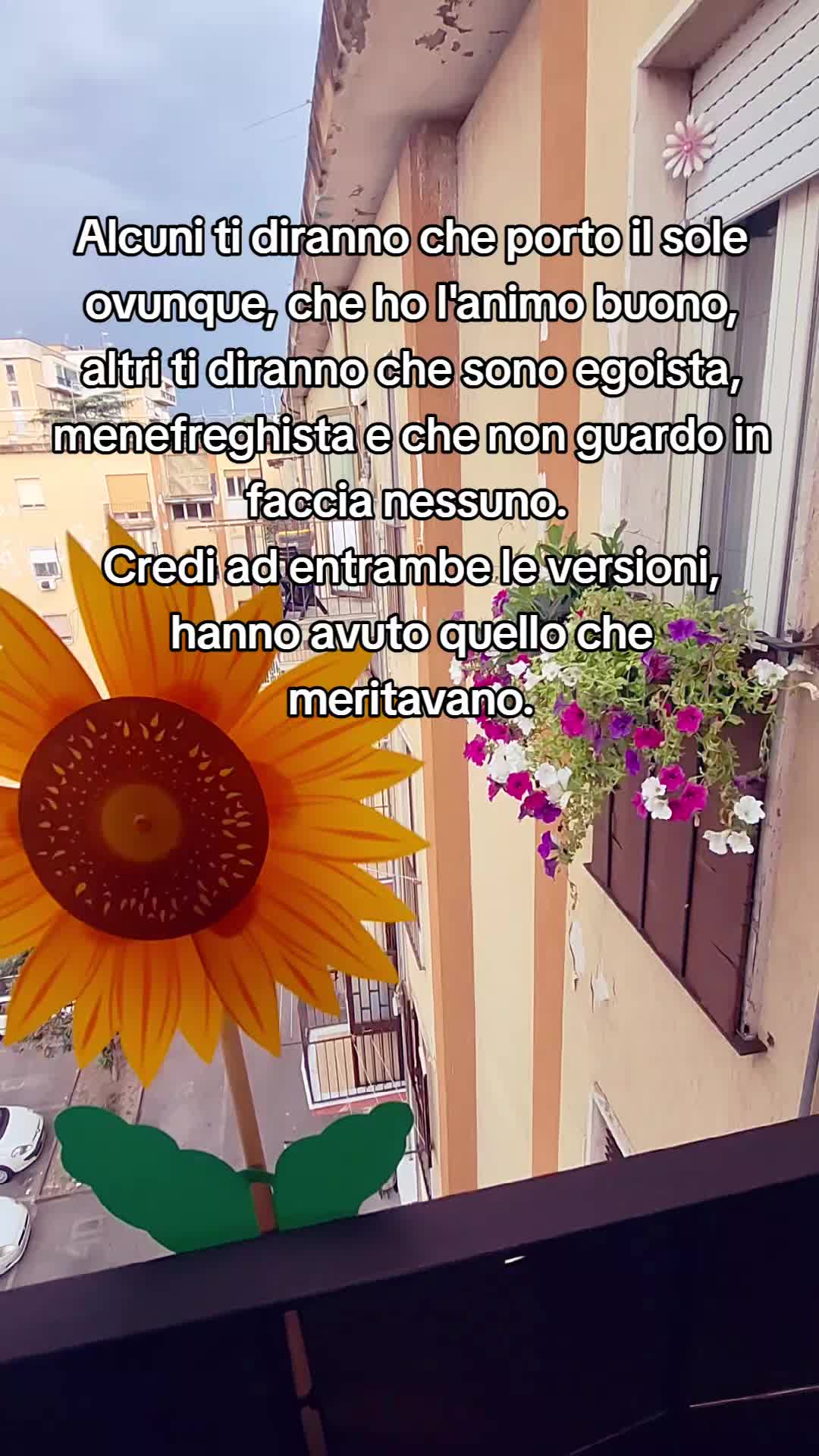 @🌻 Marcy 🌻