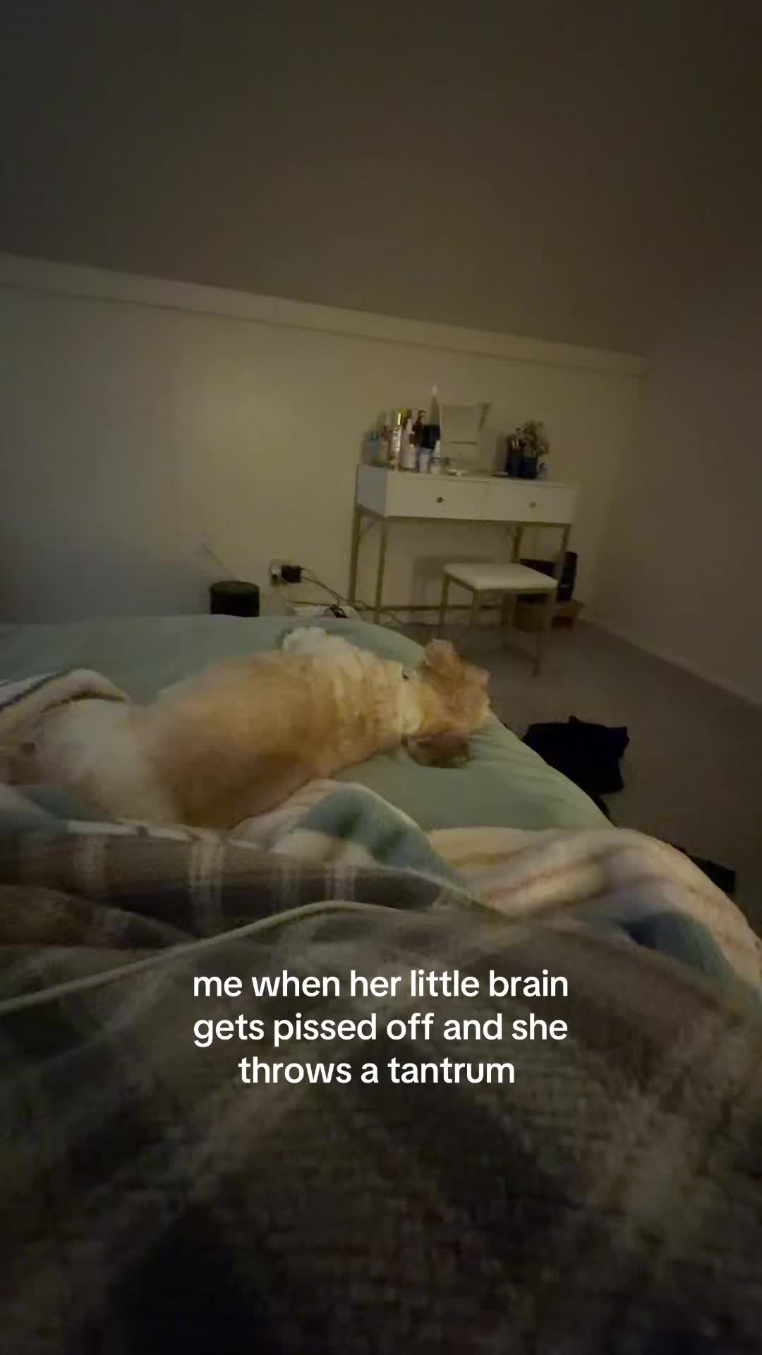 @morgg
