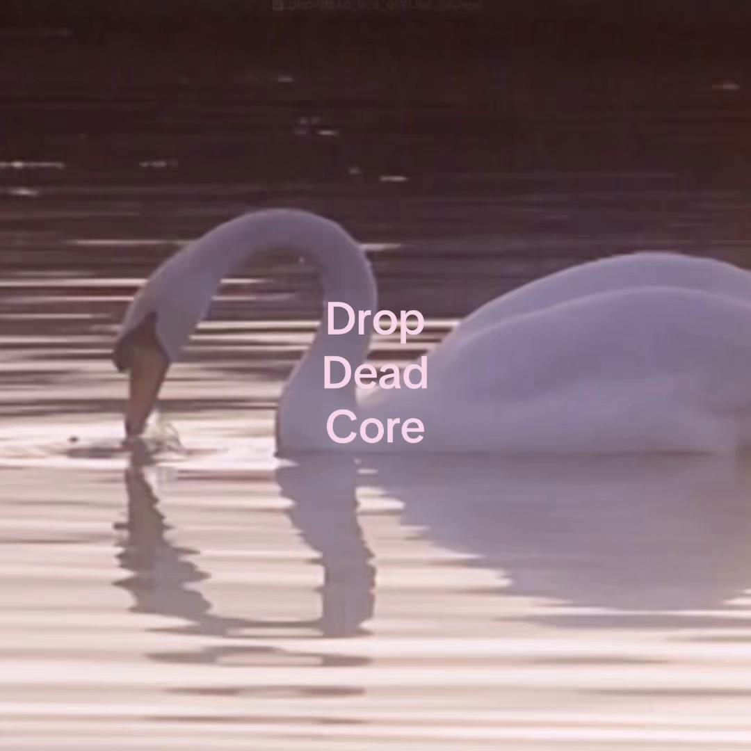 @&alpha;ɳɠ&epsilon;ℓเƭ&alpha;🐚✪