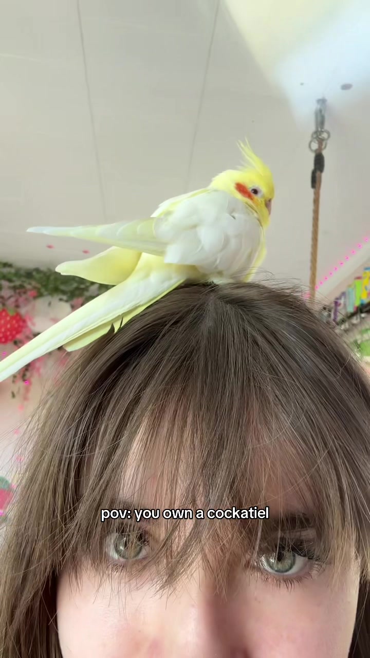 @✨💫𝑅𝒶𝓎𝓎𝓎💫✨
