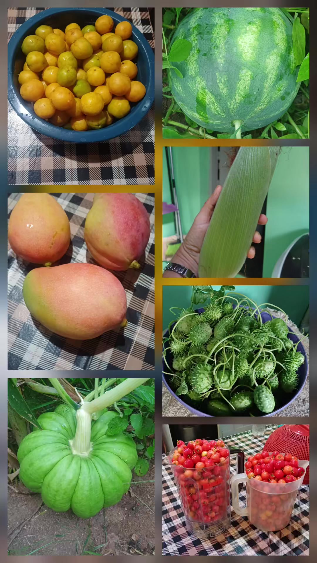 @Amante da natureza