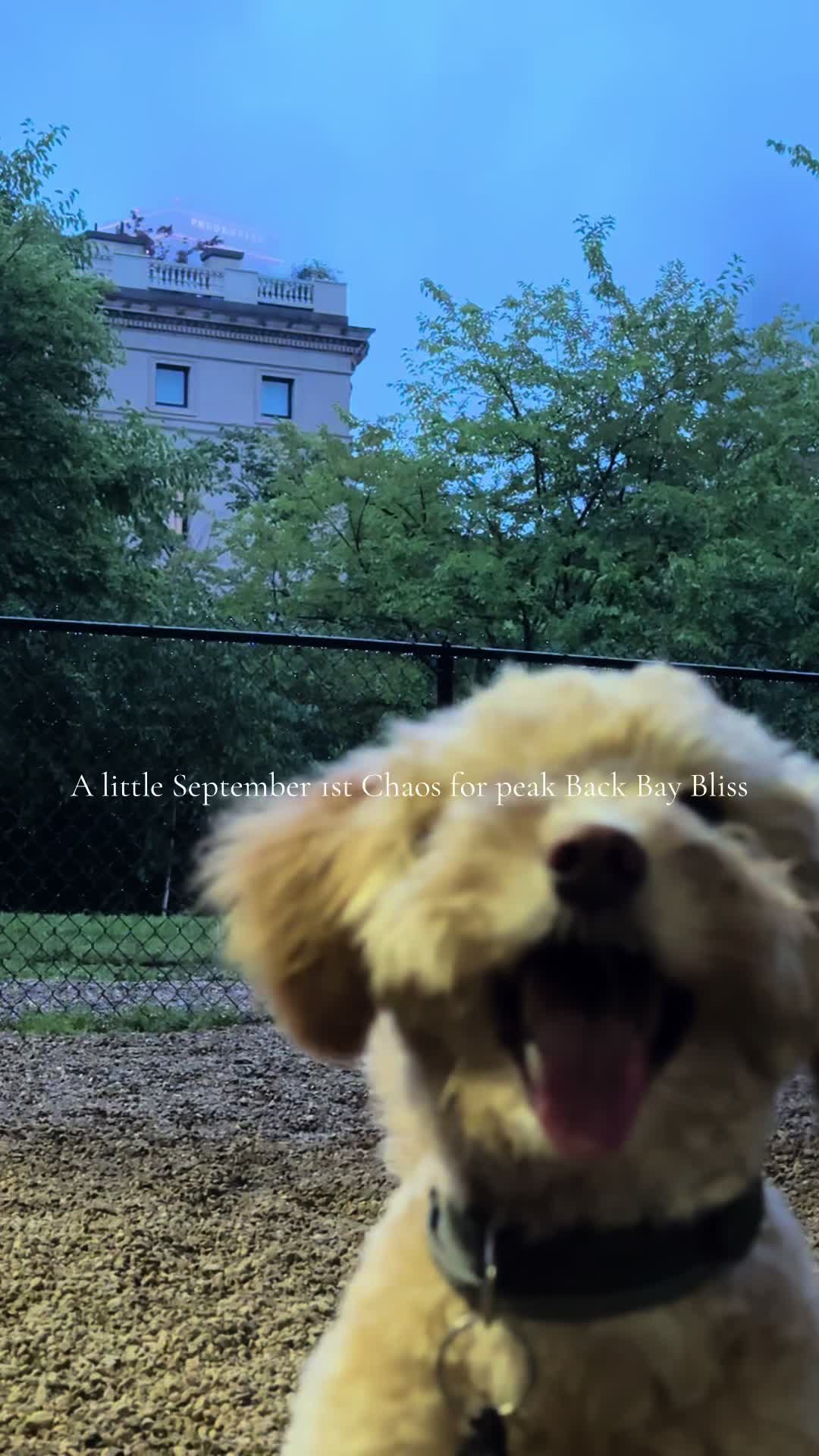 @katie.inboston