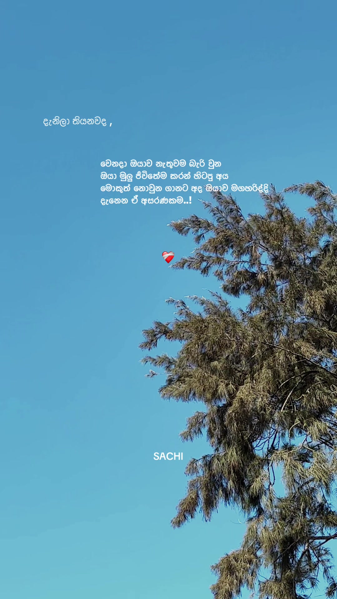 @𝙈𝙍 . 𝙎𝘼𝘾𝙃𝙄 :◉༒◉