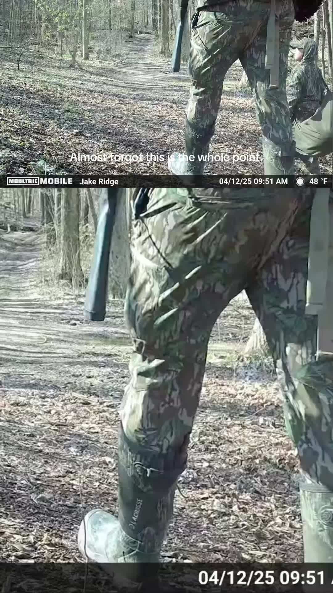 @Moultrie