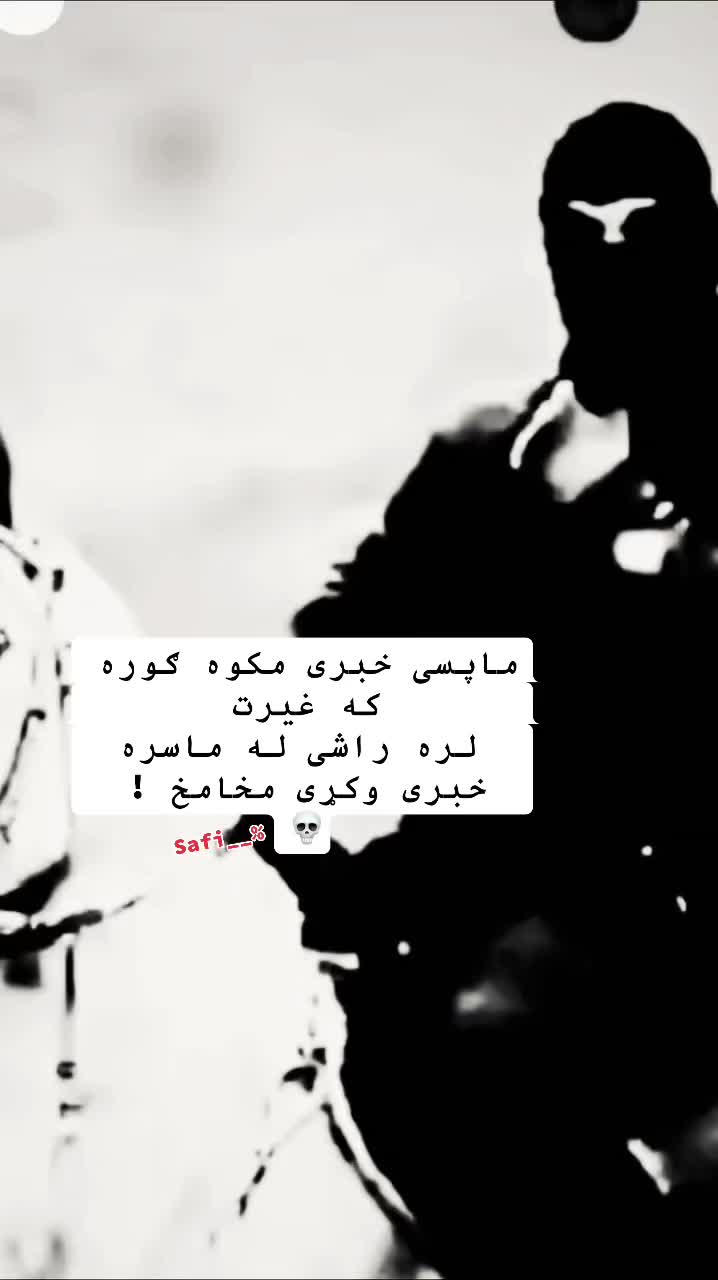 @safi.tg2026
