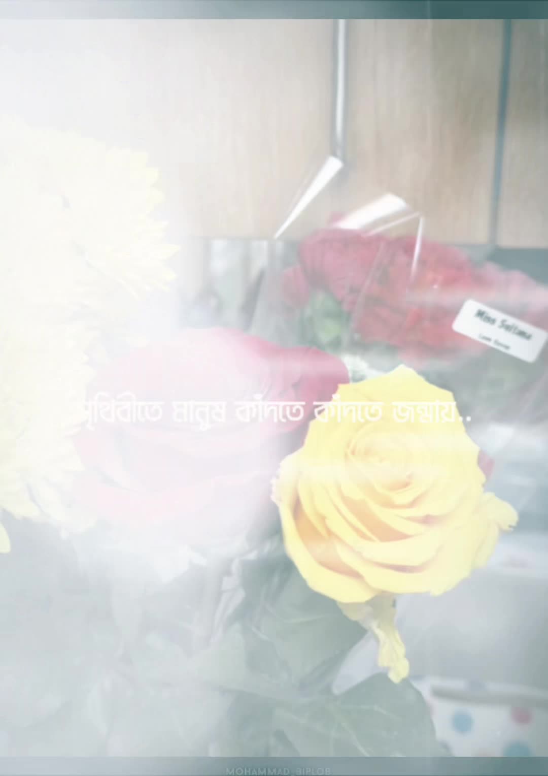 @সুলতানা রাজিয়া