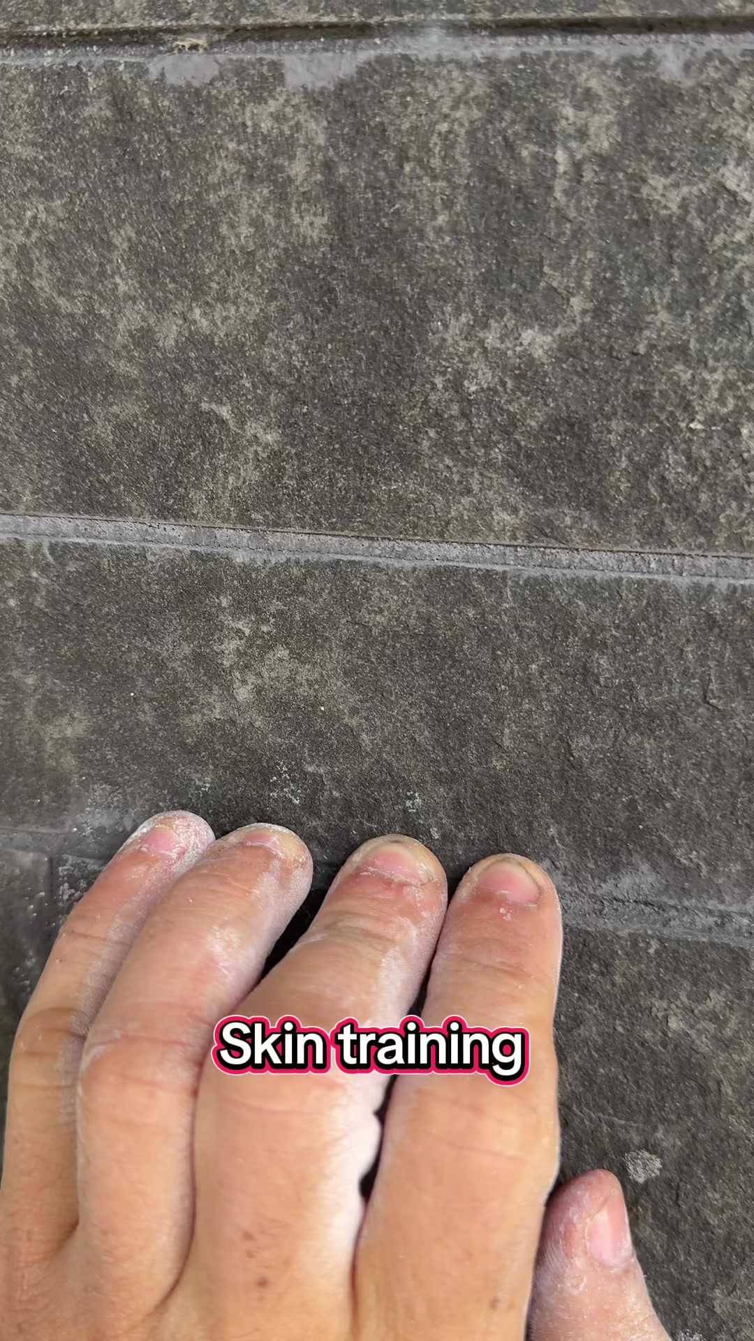 @Swhole animal