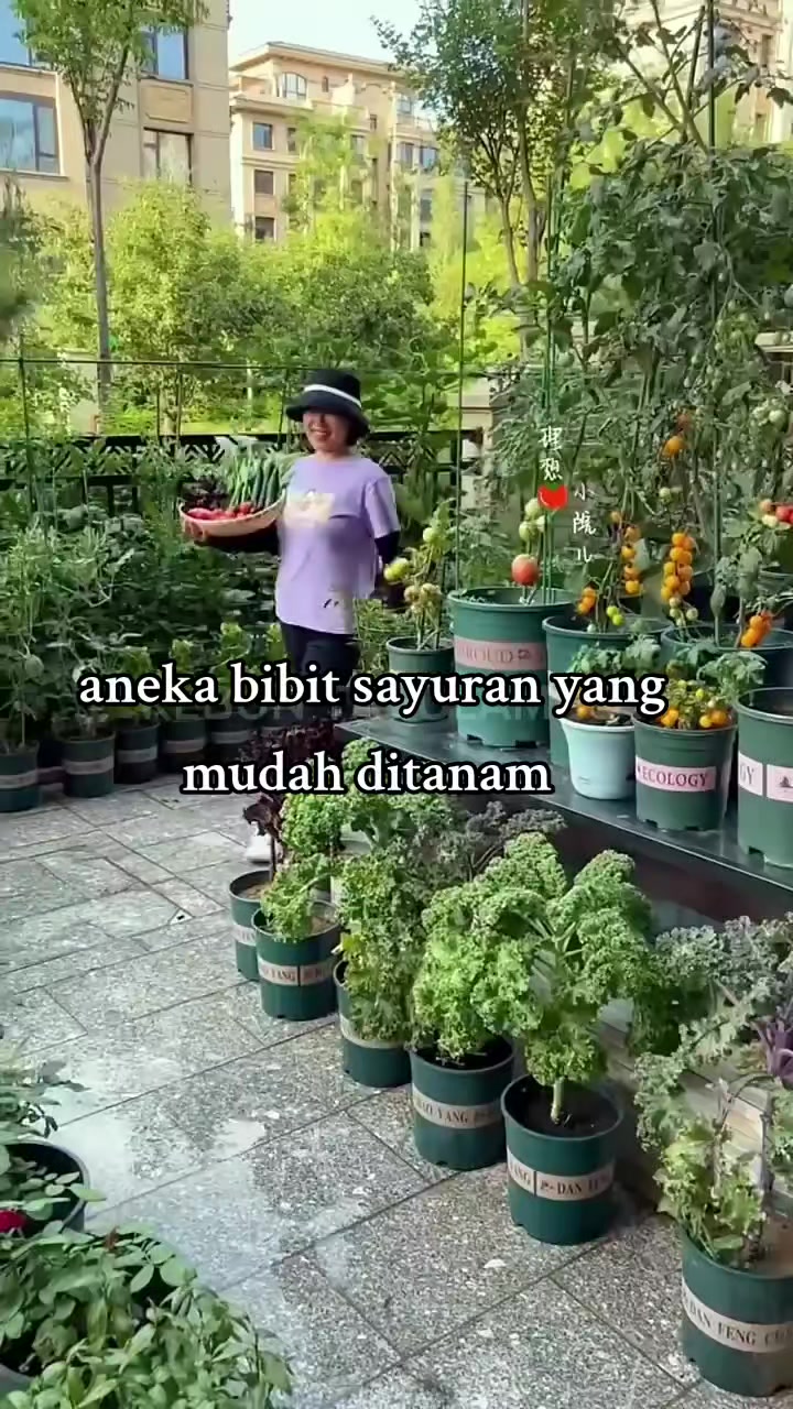 @riyan oldshop