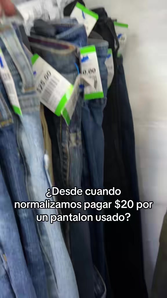 @paradisesv_503