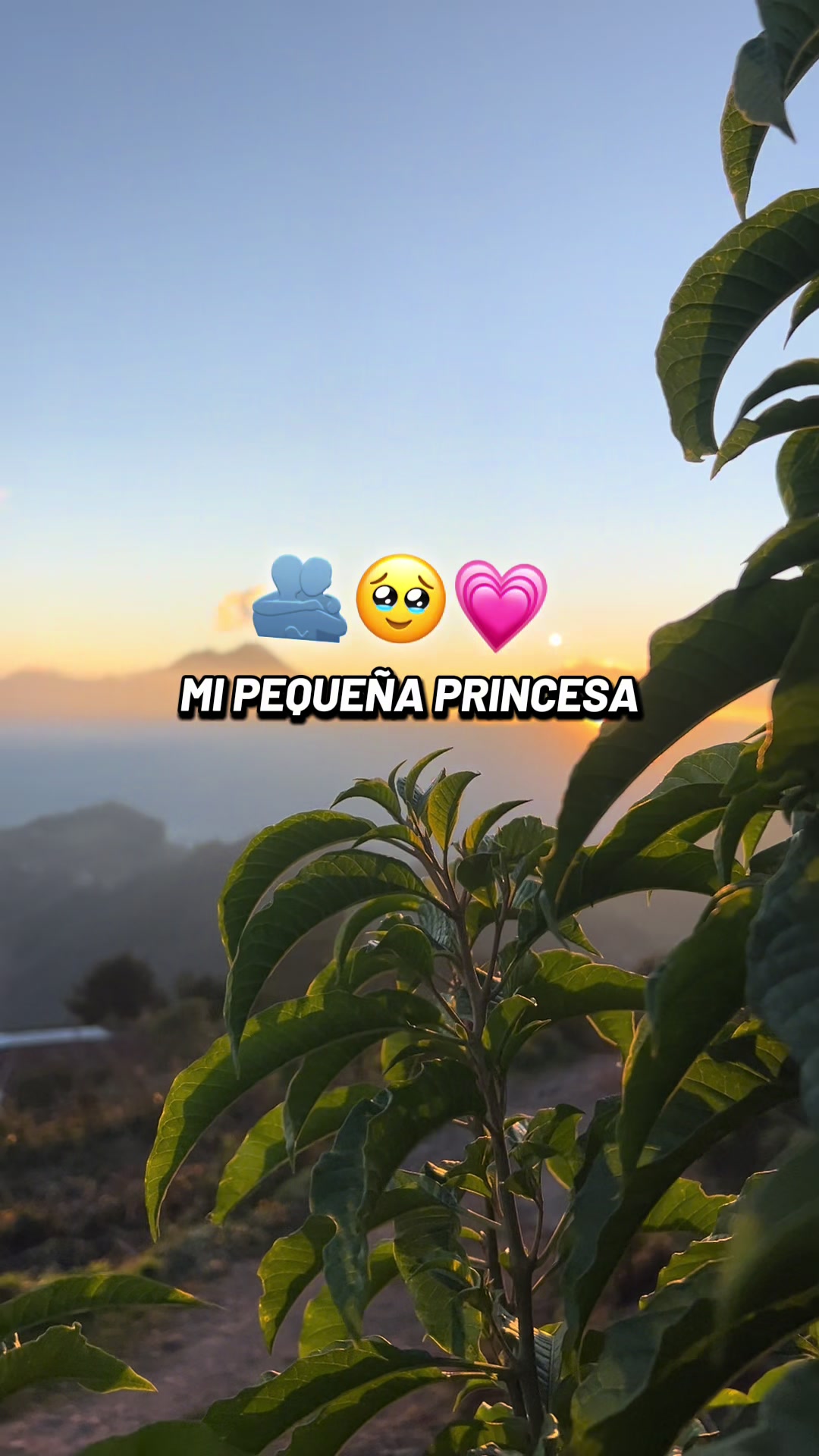 @🧃fracesgtjr🧃