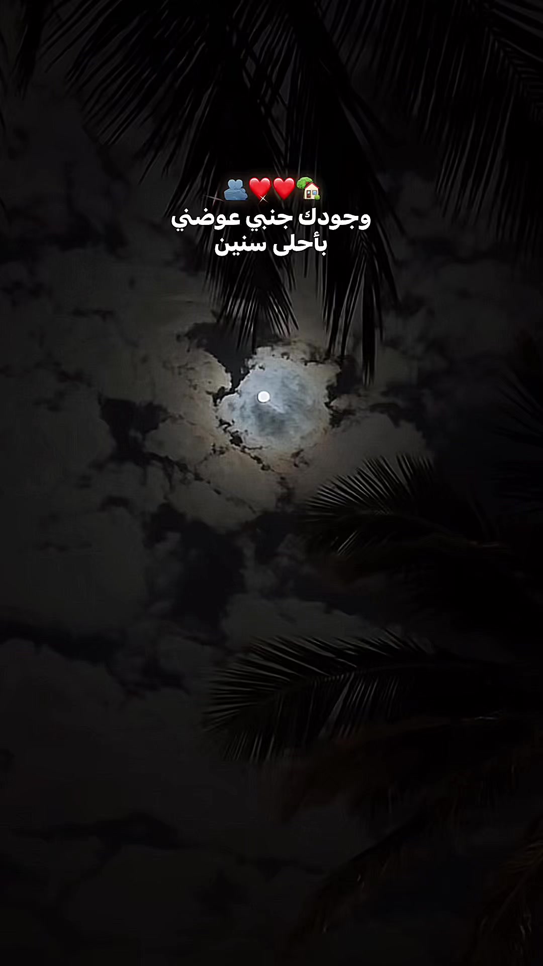 @🌟