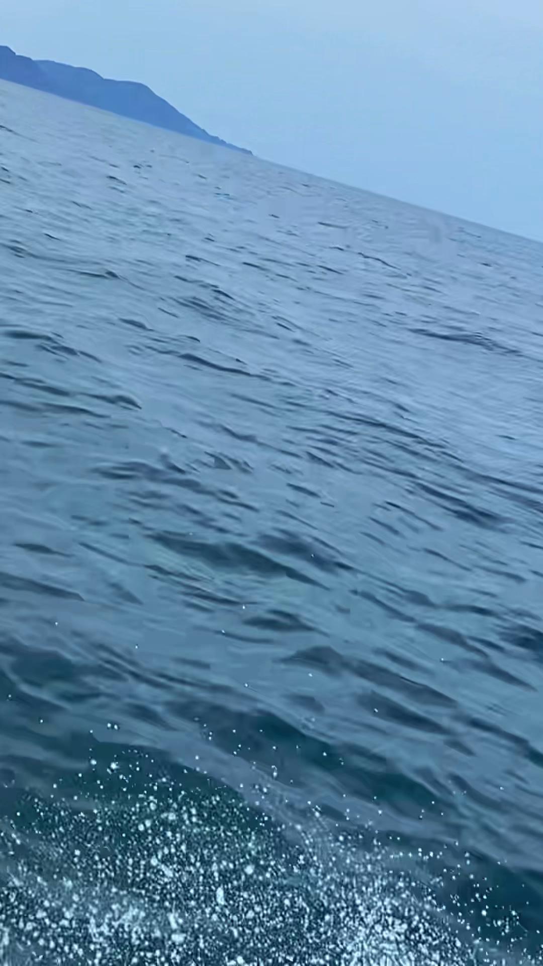 @Y..