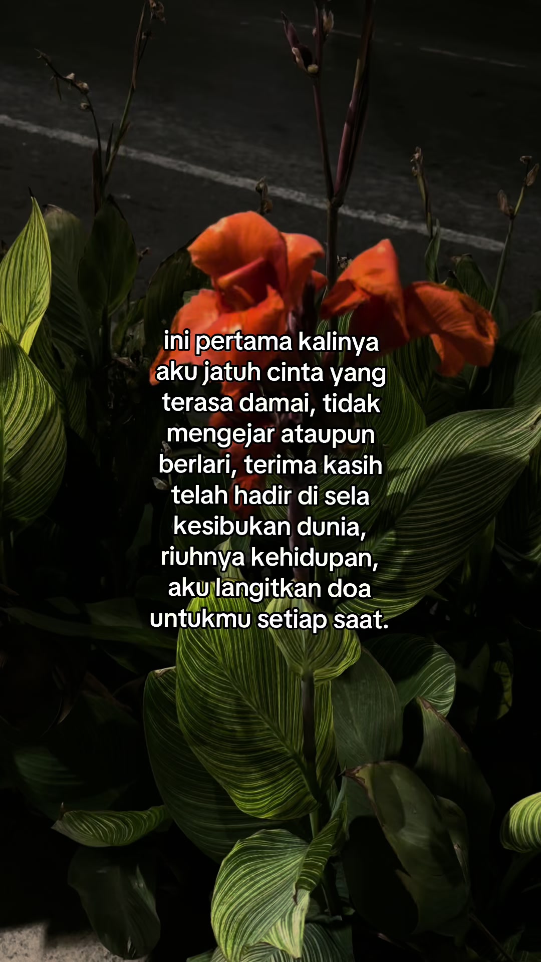 @artupp.
