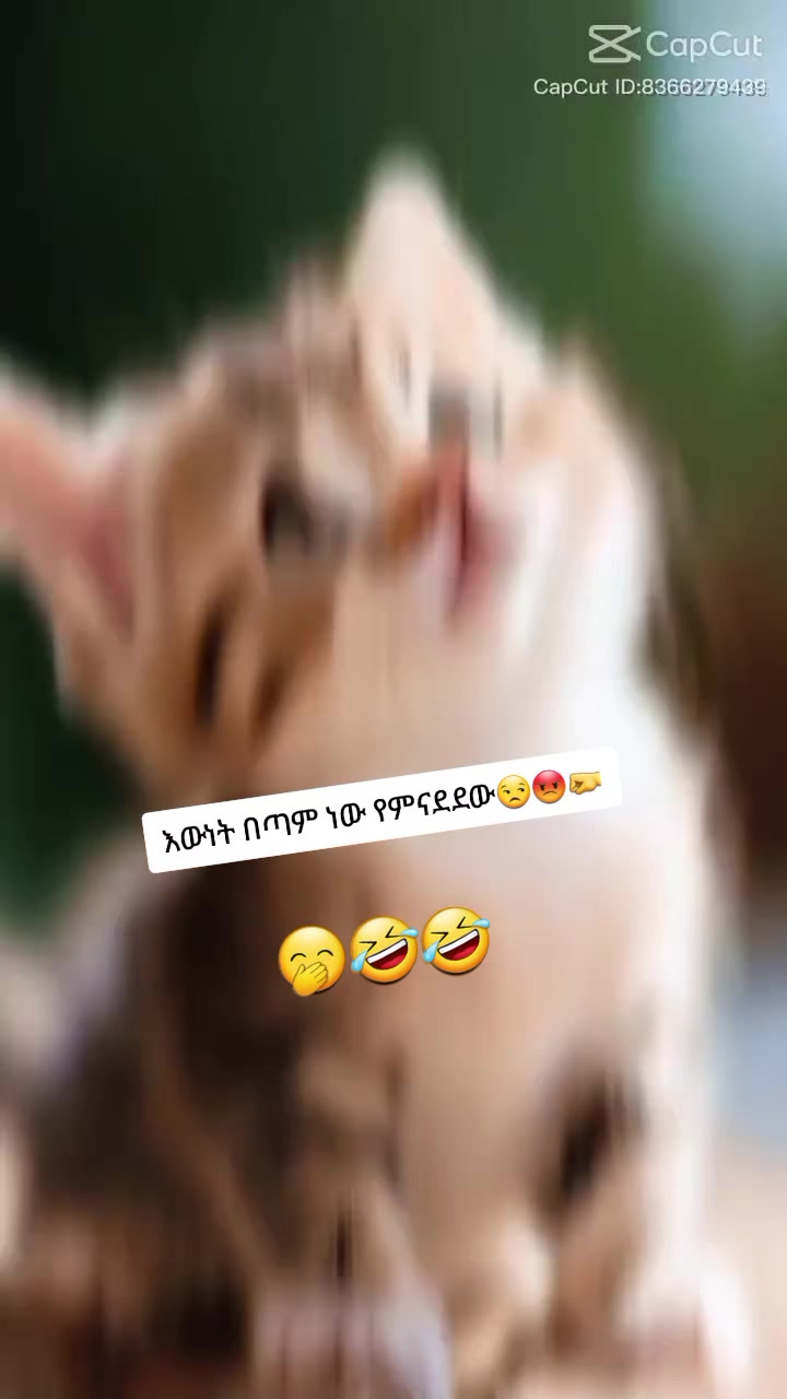@😎ትንሿ💚ነኝ የአባቷ❤ብርቅዬ✌️