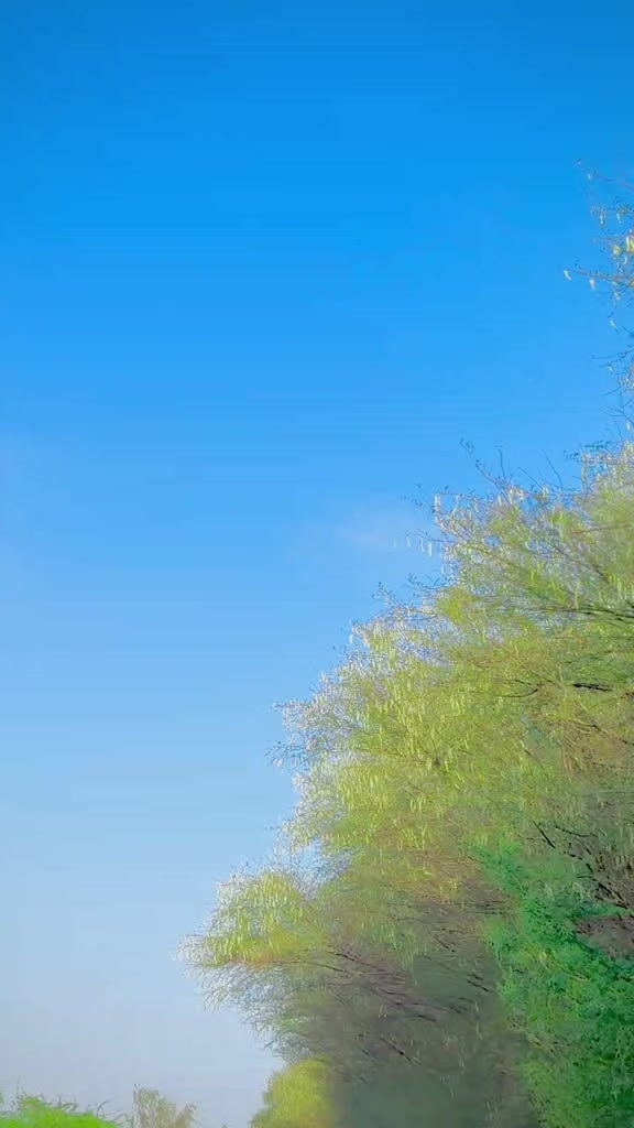@شــــــــــــاکر یــــار گـل🦂